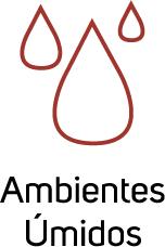 Ambientes úmidos