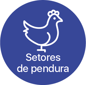 Setores de pendura