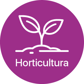 Horticultura